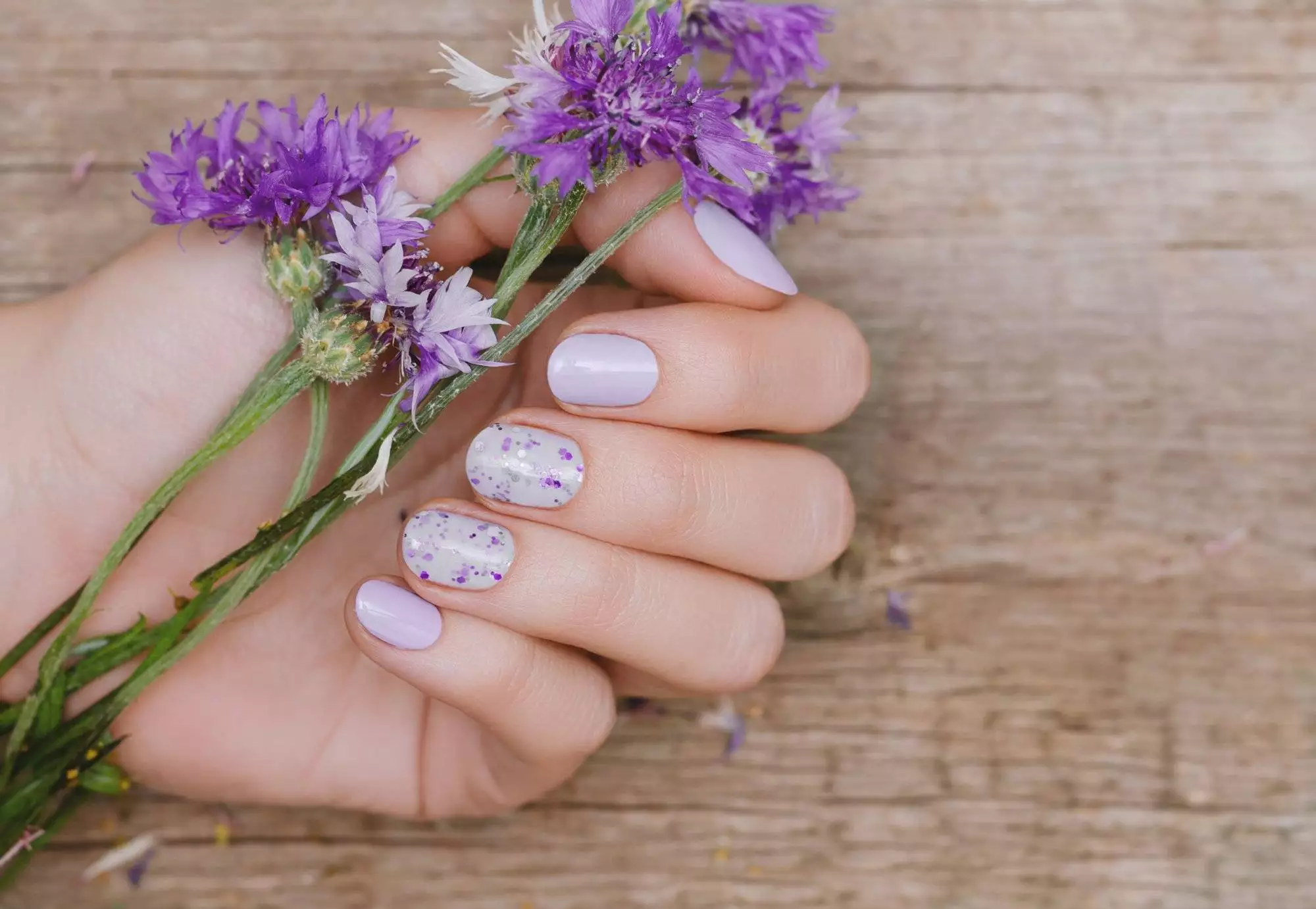 Female hands with purple nail design holding purple flowers.